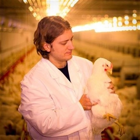 Capacitação em Exigências Nutricionais de Aves e Suínos de Alto Potencial Genético