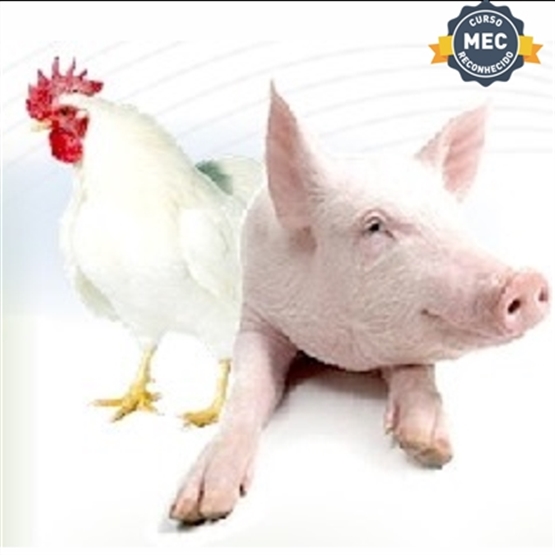 FGE Cursos
